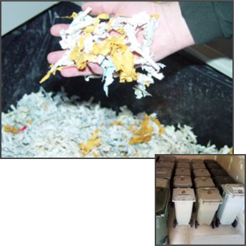 Shredded Paper and Bins